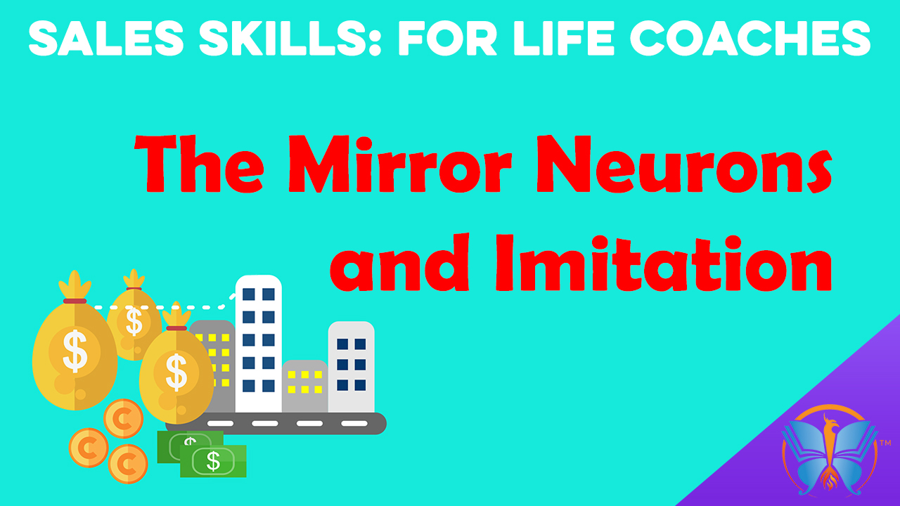 SALES SKILLS The Mirror Neurons and the Concept of Imitation